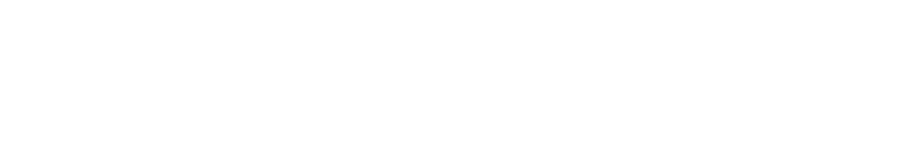 Mirrored Defense Logo